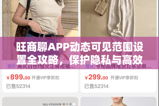 旺商聊APP动态可见范围设置全攻略，保护隐私与高效沟通的平衡术